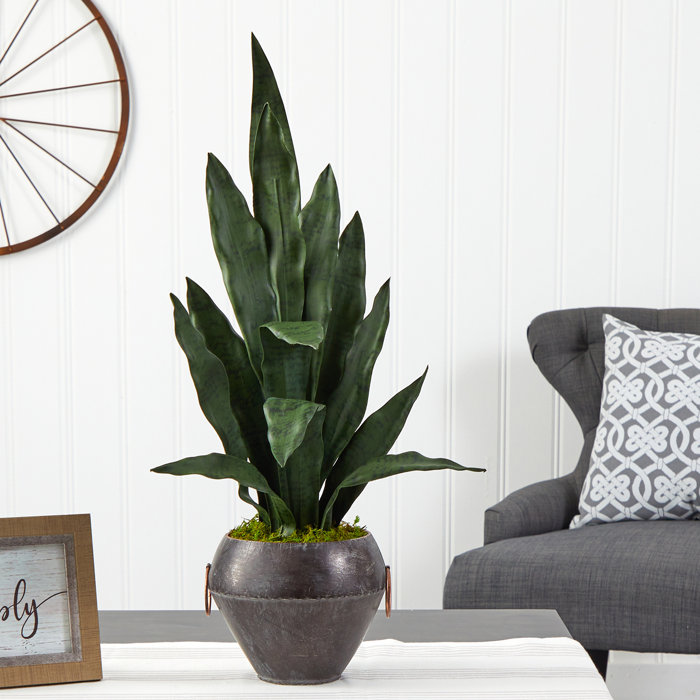 Primrue 27" Artificial Snake Plant in Decorative Vase Wayfair